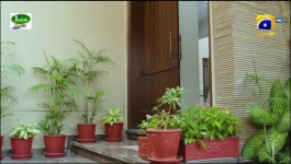 Ehraam-e-Junoon - Episode 14 - 20th June 2023